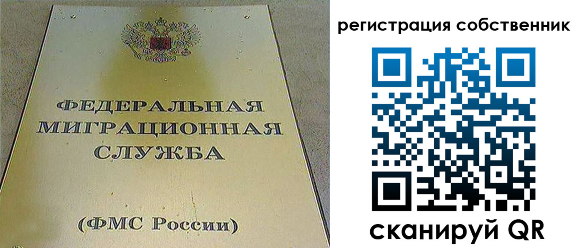 прописка поиск в Коврове